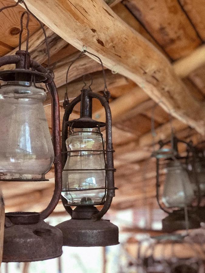Чорногірський Вітер Villa Verkhovyna Ngoại thất bức ảnh